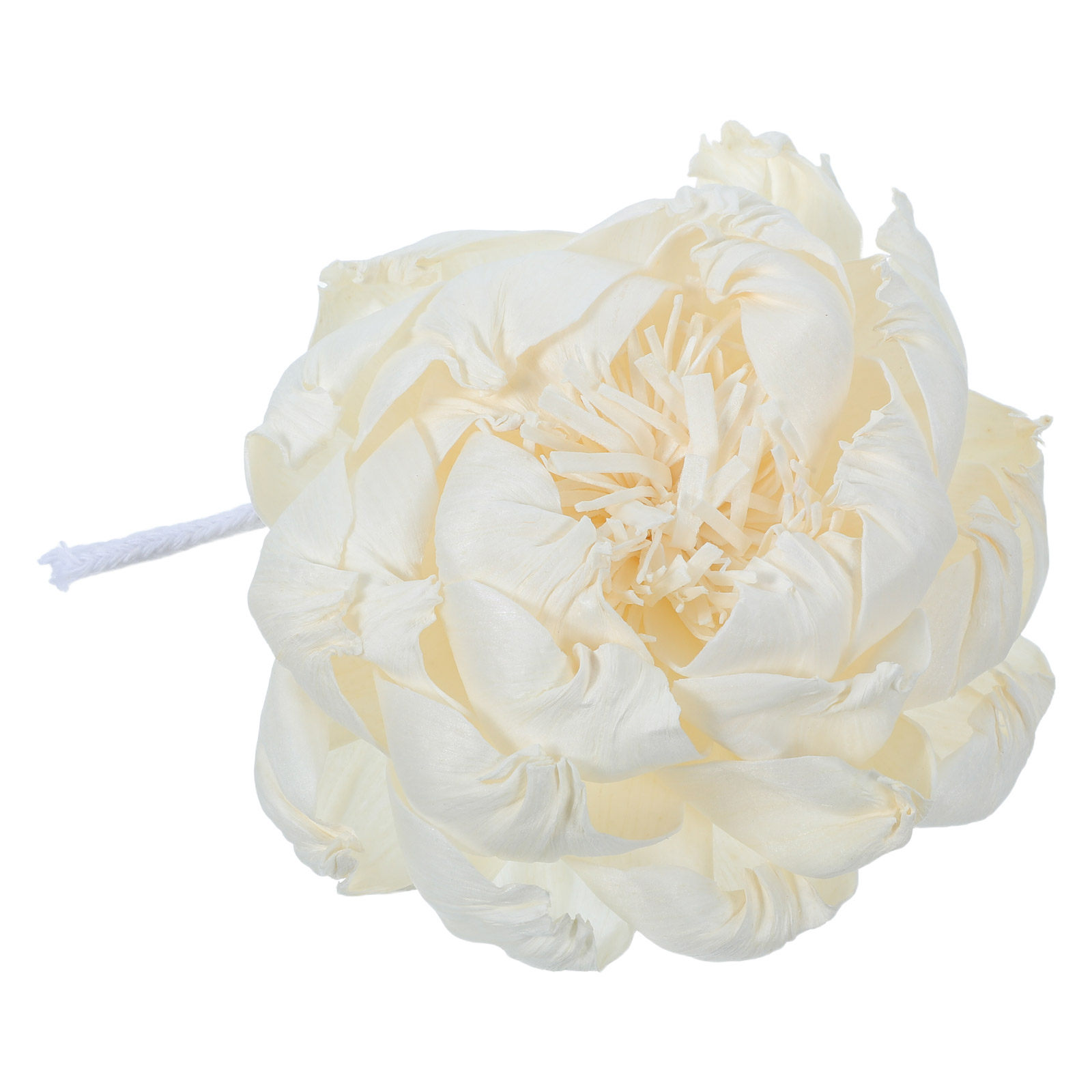 เครื่องกระจายกลิ่นหอมดอกโบตั๋น - Home Fragrance Us บทวิจารณ์และราคา